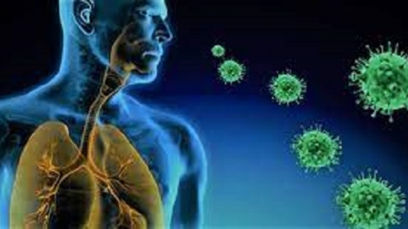 الفيروس المخلوي التنفسي- تعبيرية
