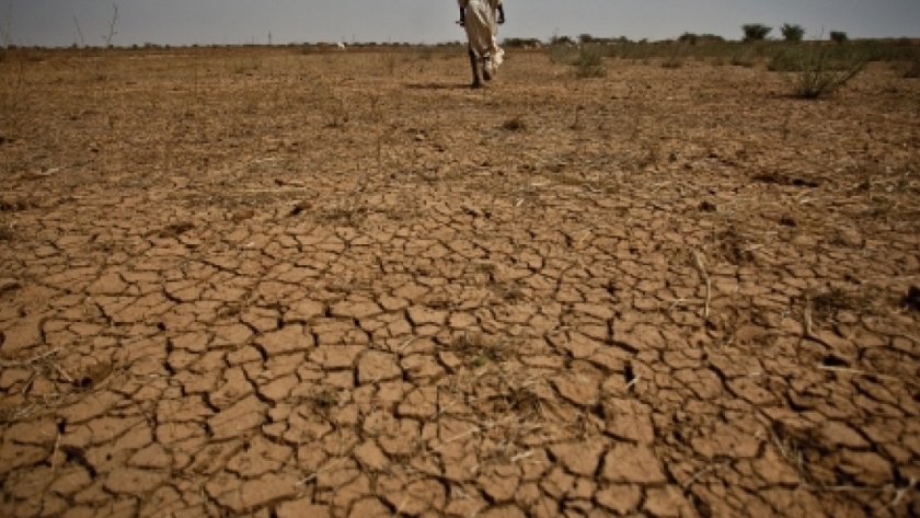 الجفاف يهدد العديد من البلدان