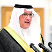 السفير السعودي بالقاهرة أسامة بن أحمد نقلي
