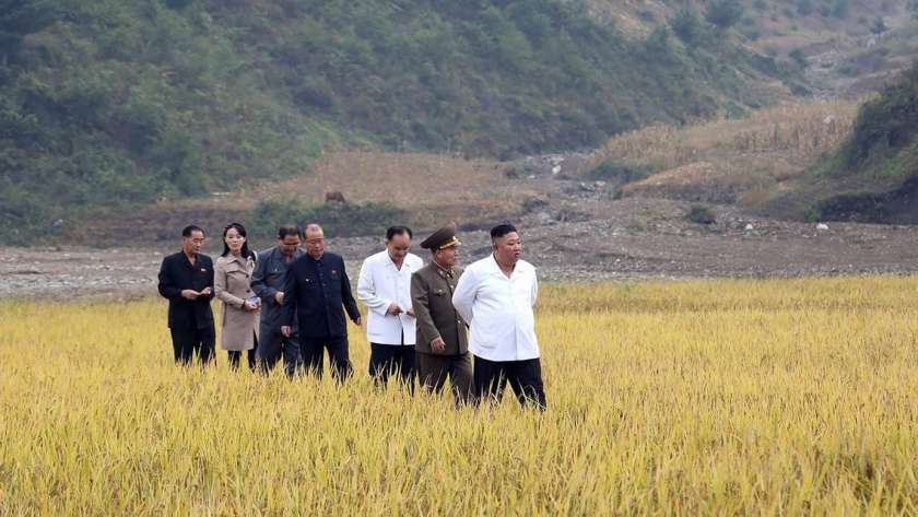 زعيم كوريا الشمالية في حقل