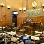 حصاد البرلمان المصري في 3 سنوات.. «إنجازات على كل المستويات»