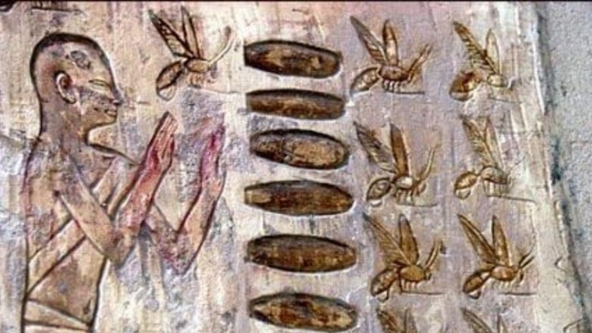 المصري القديم وتربية نحل العسل