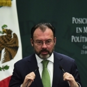وزير الخارجية المكسيكي لويس فيديغاراي