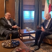 جانب من لقاء سامح شكرى وزير الخارجية برئيس البرلمان اللبناني