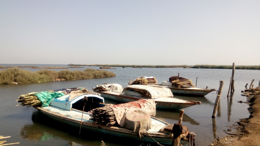 مراكب صيد ببحيرة البرلس بكفر الشيخ