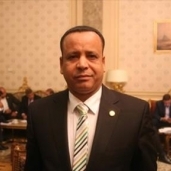 محمود عبدالسلام الضبع - عضو مجلس النواب