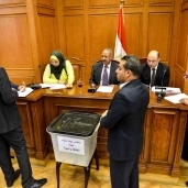 أعضاء البرلمان يدلون بأصواتهم فى انتخابات «اللجان»