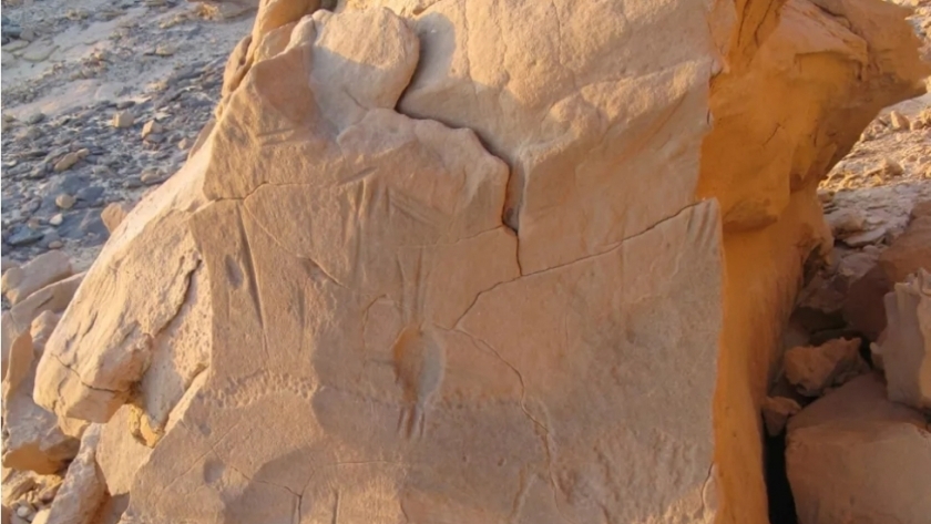 اغرب كتابات فلكية للقدماء المصريين على الصخرة العنكبوتية في الوادي الجديد
