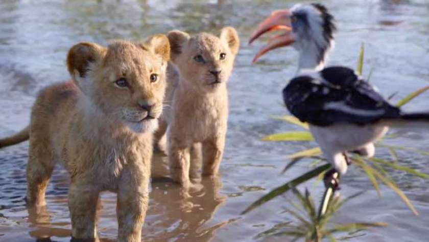 مشهد من فيلم "The Lion King"