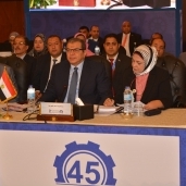 لحظة انتخاب مصر عضوا اصيلا بالعمل العربي