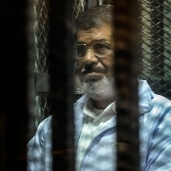 مرسي..صورة أرشيفية