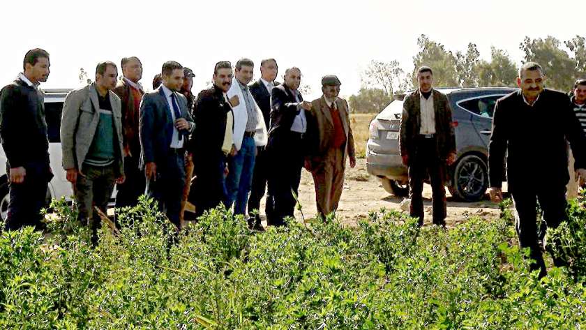 رئيس جامعة المنيا يتفقد مزرعة شوشه