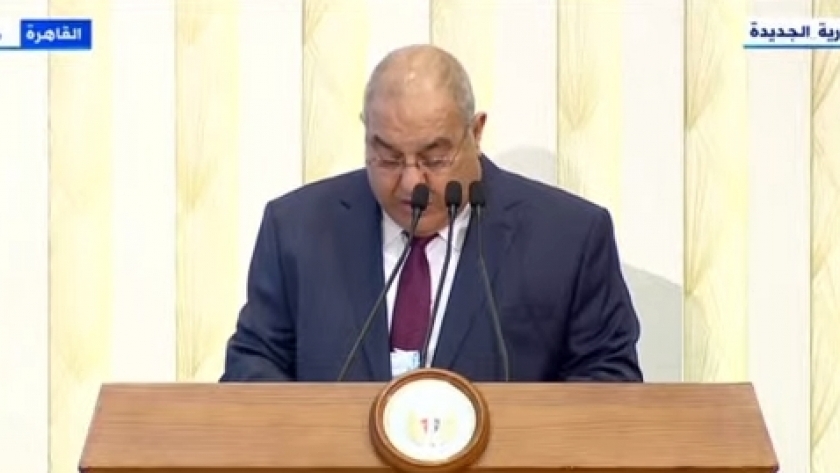 المستشار سعيد مرعي رئيس المحكمة الدستورية العليا