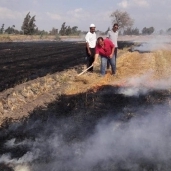 جهاز شئون البيئة بوسط الدلتا : دعم مشروعات المخلفات لمواجهه حرق قش أرز