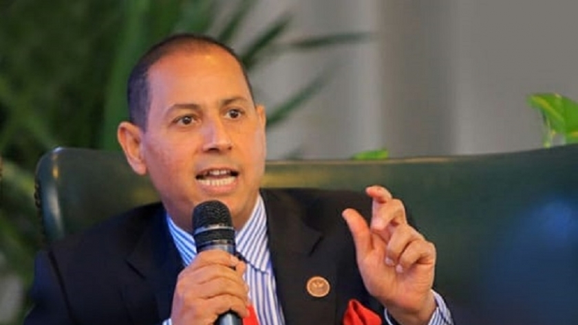 الدكتور محمد عمران - رئيس البورصة المصرية