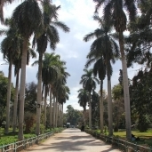 حديقة الأورمان تضم أشجاراً ونباتات نادرة