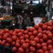 انخفاض اسعار الطماطم