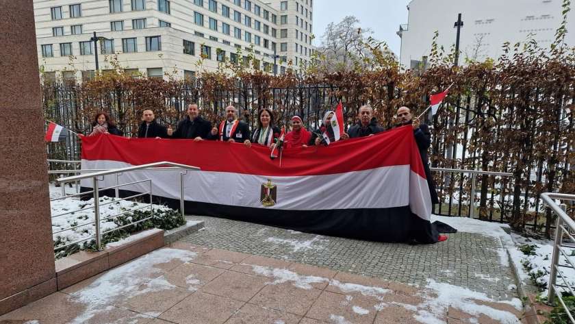 مصريون بالخارج يرفعون علم مصر