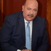 رئيس الجمعية المصرية المغربية