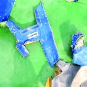 أجزاء من حطام الطائرة المنكوبة