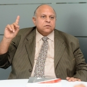 هانى محمود، الخبير الإدارى ووزير التنمية الإدارية السابق