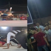 بالصور| موجة من الجدل بعد انتشار «المصارعة الحرة» في مصر