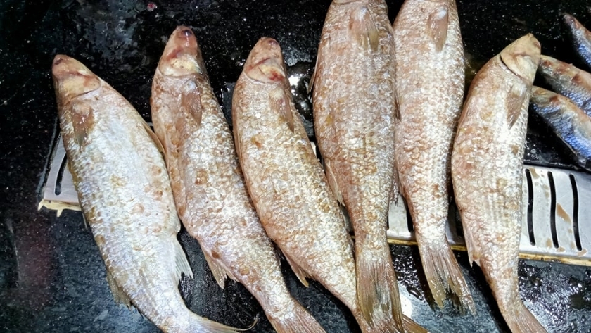 صورة لأسماك مملحة