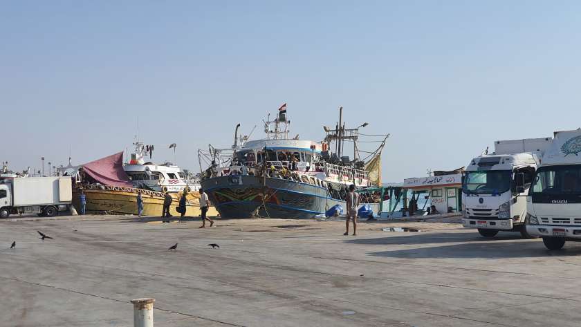 مراكب الشنشولا داخل ميناء الصيد البحري بطور سيناء
