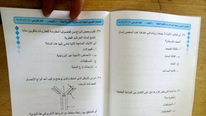 امتحان اللغة العربية بطريقة البابل شيت