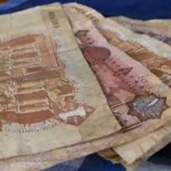 تحسن اداء العملة المصرية خلال عام 2019