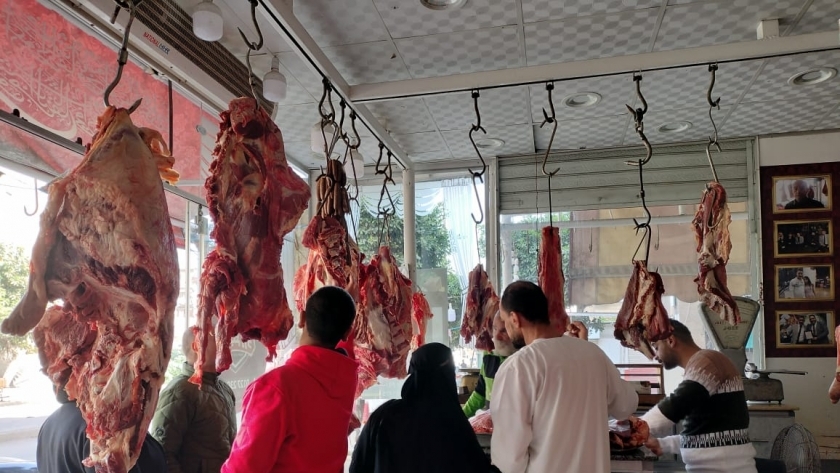 مبادرة مديرية الزراعة لتخفيض اللحوم ببورسعيد