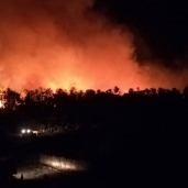 حريق قرية الراشدة بالوادي الجديد