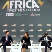 وزيرة الاستثمار خلال مشاركتها فى جلسة الاستثمارات الأفريقية