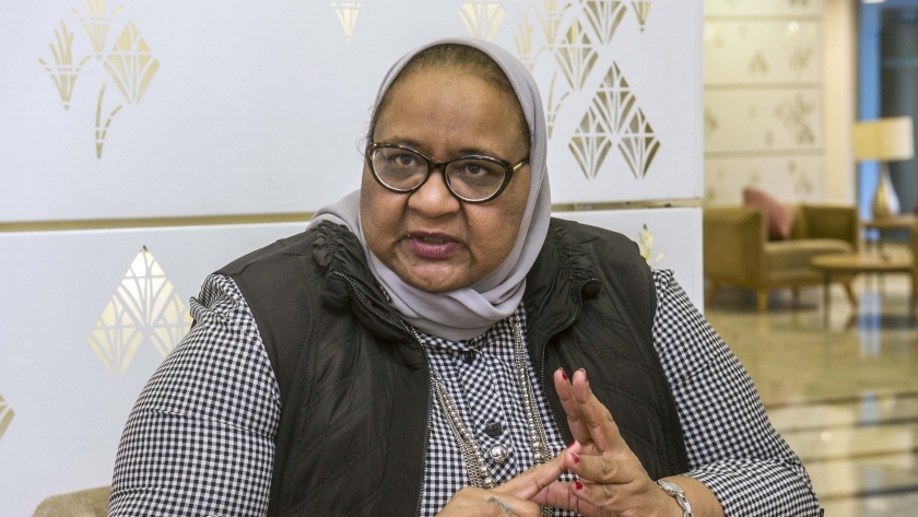 الدكتورة فاطمة الزهراء جيل، مدير مشروع تسريع الاستجابة للقضية السكانية بوزارة التنمية المحلية