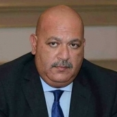رئيس الجمعية المصرية -المغربية