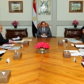 الرئيس عبد الفتاح السيسى يترأس اجتماعا مع اسماعيل وعدد من الوزراء ورئيسى المخابرات العامة وهيئة الرقابة الإدارية