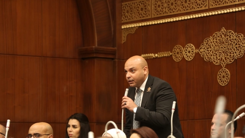 النائب محمود القط - أمين سر لجنة الثقافة والسياحة والآثار والإعلام بمجلس الشيوخ