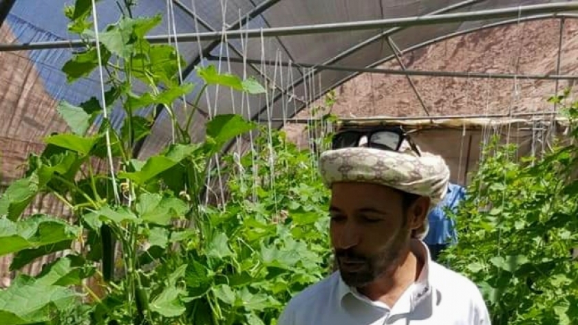 احمد صالح يجمع النباتات والأعشاب الطبيعية