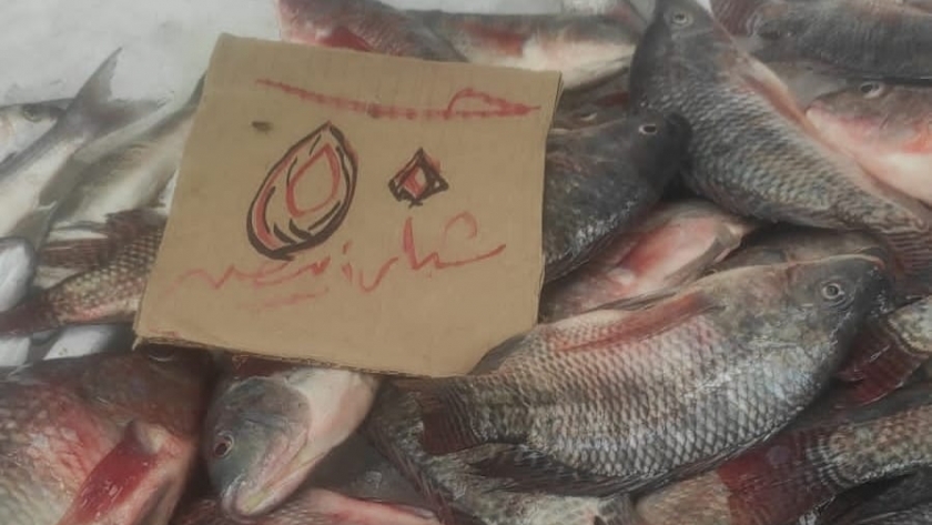 سوق الأسماك في بورسعيد