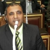 الدكتور سمير رشاد - عضو مجلس النواب