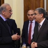 الحكومة تمنح شركة " فوسفات مصر" حق استغلال هضبة أبو طرطور