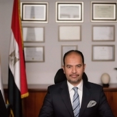 عبد العزيز نصير، المدير التنفيذي للمعهد المصرفي المصري (EBI)