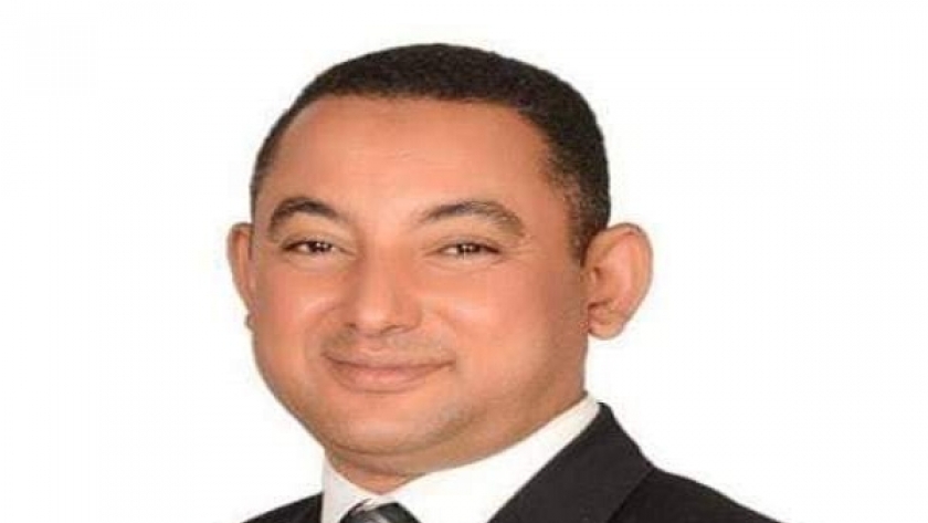 النائب الدكتور ناصر عثمان أمين سر  اللجنة الدستورية والتشريعية بمجلس النواب
