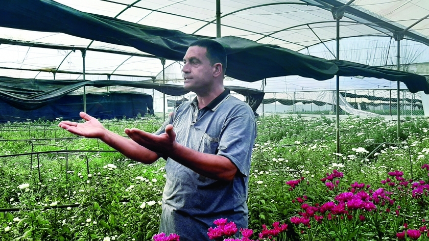 أحد مزارعي الورد يشكو الخسارة بعد وقف التصدير