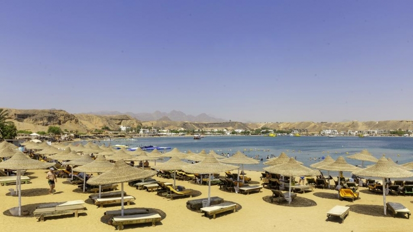 فنادق شرم الشيخ تبدأ التحول نحو السياحة الخضراء الصديقة للبيئة