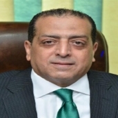 عماد سامي، رئيس مصلحة الضرائب