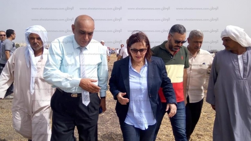 الدكتورة منى محرز نائب وزير الزراعة خلال زيارتها كفر الشيخ