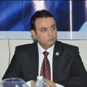 الدكتور وائل الشهاوى