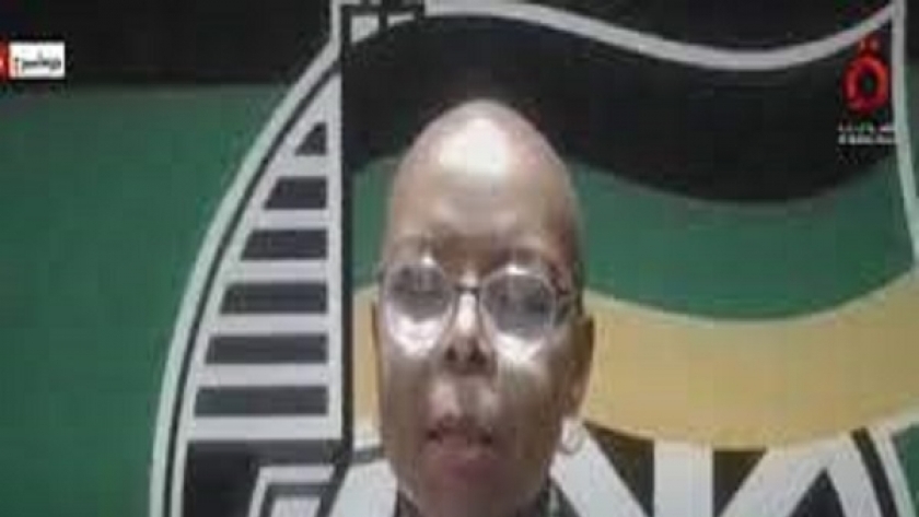 ماهلينجي بينجو موتسيري ، متحدثة الحزب الحاكم في جنوب أفريقيا