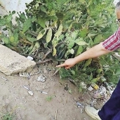 مسئول مبادرة تطوير مقابر دمنهور يشير إلى أماكن التعاطى